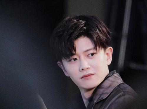 任嘉伦邢菲最新爆料消息,甜蜜互动引期待，新剧幕后故事大揭秘！