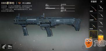 和平精英最新爆料dbs,神秘DBS系统即将亮相，游戏体验再升级